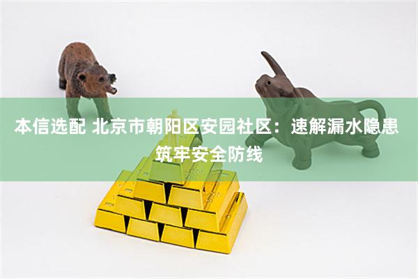本信选配 北京市朝阳区安园社区:速解漏水隐患 筑牢安全防线